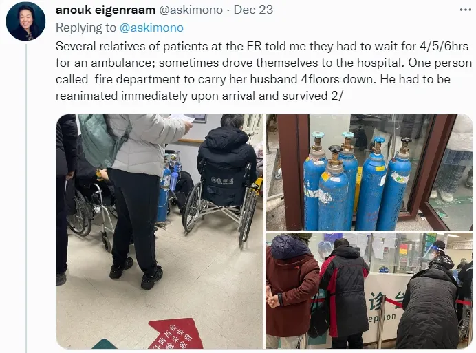 翻攝自Anouk Eigenraam推特