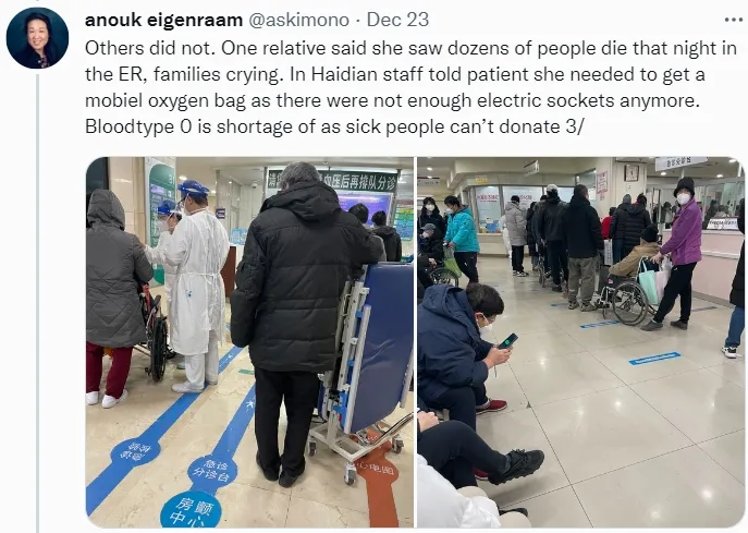 翻攝自Anouk Eigenraam推特