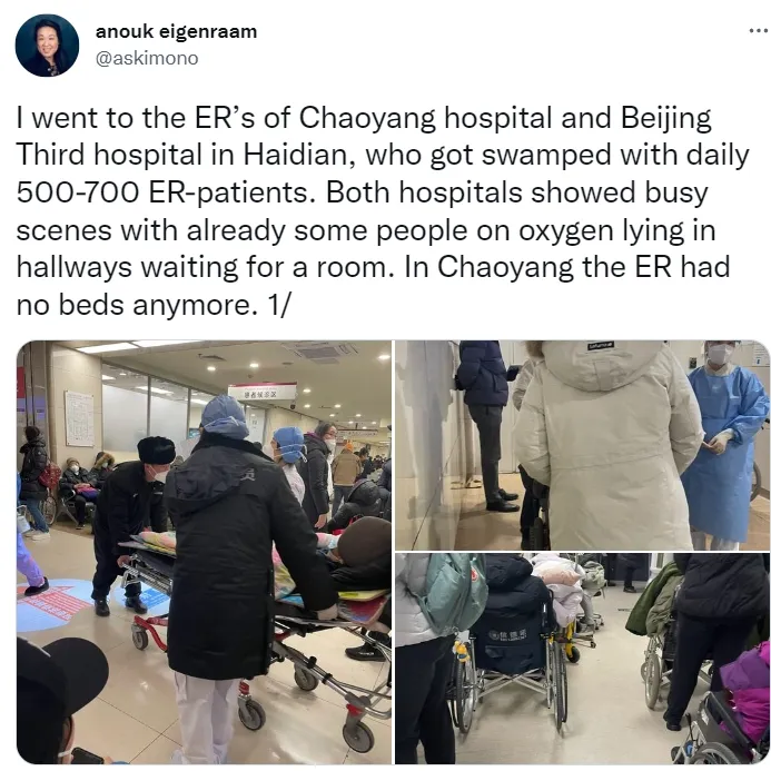 翻攝自Anouk Eigenraam推特