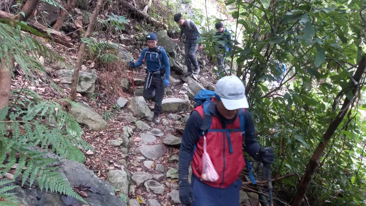 鄭男因落單迷途受困，所幸被搜救人員尋獲。李陳信得攝