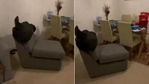 靈異！家中沙發自己大挪椅　婦拍片開嗆「鬼魂吉娜」滾出去