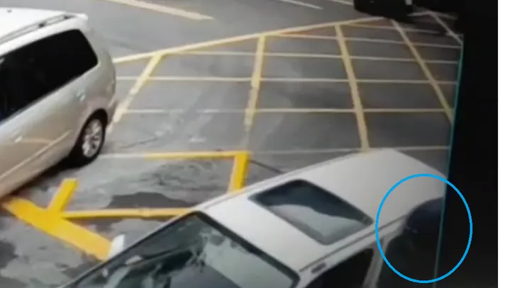 柯姓美籍補教師（藍圈處）欲將陳姓駕駛強拉出車外。民眾提供