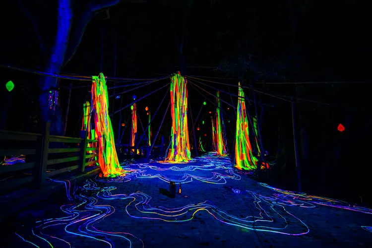 作品「光絲瀑」。文化局提供