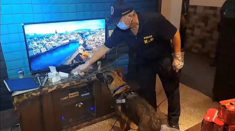 警方搜索。翻攝畫面