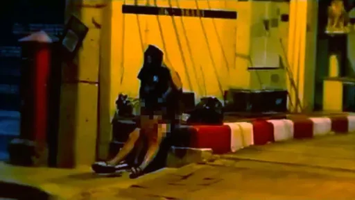 她当街嘿咻金发洋肠「野砲30分钟」 不甩路人目睹受惊