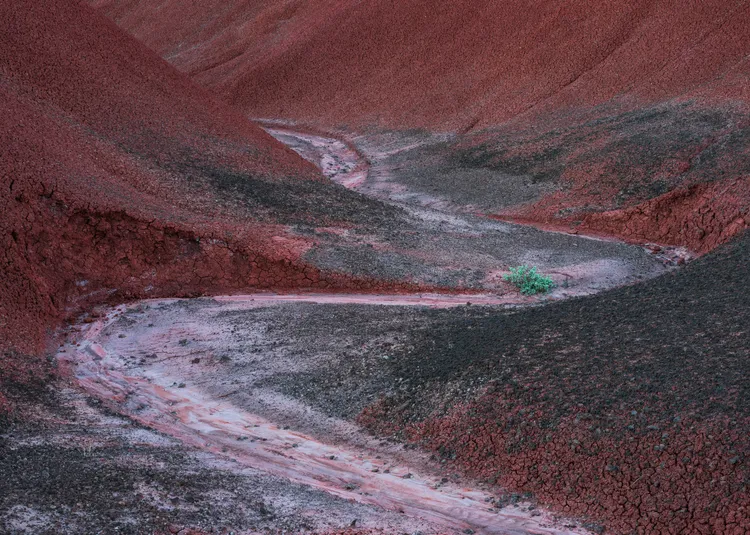 《闖入祕境》攝影師造訪偏遠荒野，打擾了崎嶇之間這一彎獨流。攝於亞利桑納州。©Brent Clark／Natural Landscape Photography Awards