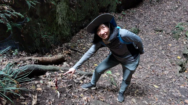 山友在冬天發現台灣魔芋嘖嘖稱奇。凃建豐攝