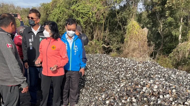 雲林縣長張麗善率農業處會同漁業署及水試所人員現勘，調查文蛤暴斃原因與損失狀況。魏嘉良攝