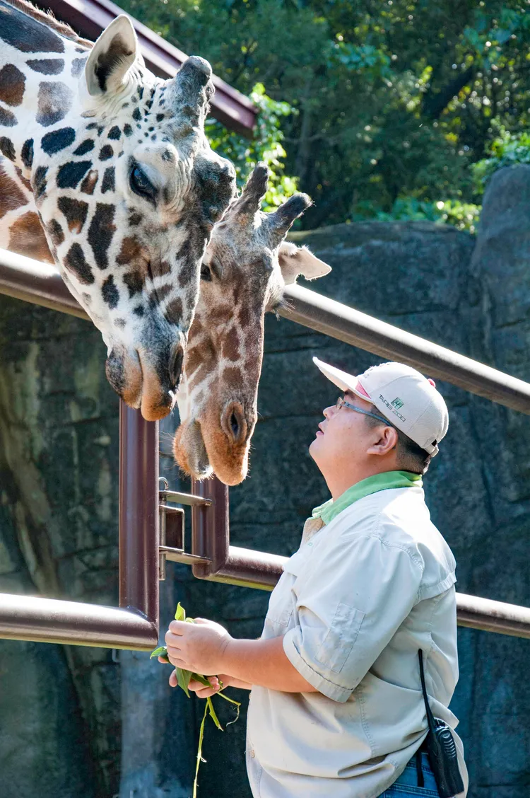 長頸鹿菊忠離世，照顧的保育員也感到很不捨。動物園提供