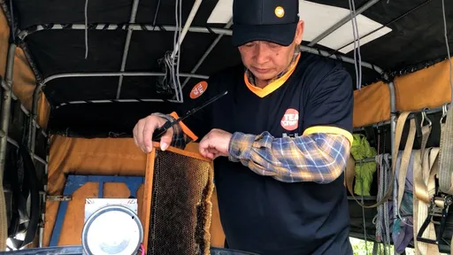 阿嬤說的係金ㄝ！蜂蜜吃不完免放冰箱　食藥署：避開「2禁忌」即可