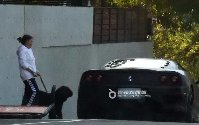 疑似幫傭牽著曹格的愛犬在路邊迎接曹格。特勤中心攝