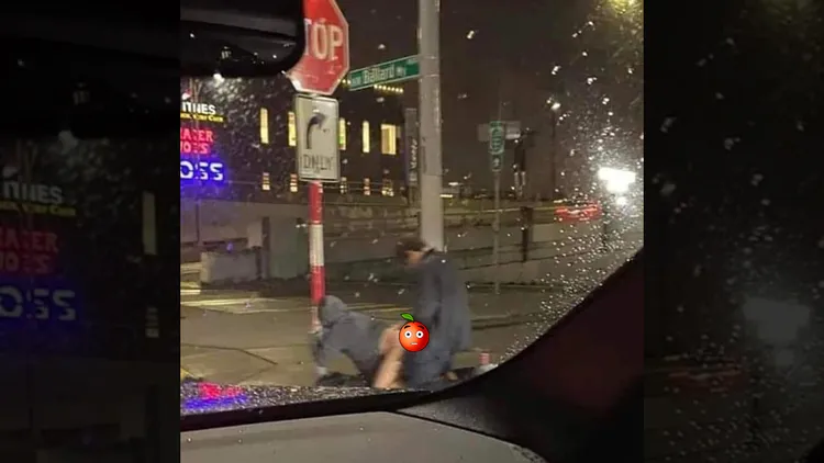 翻攝自wolf haley推特