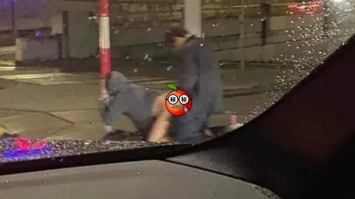 男女街頭性愛「這就是西雅圖」 女住戶出怪招恐嚇:不要搬過來