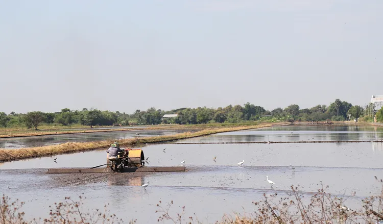 礁溪晶泉丰旅年末特別與「官老爺休閒農場」合作，暢享蘭陽平原秋冬獨有湛水景緻，無敵水田賞鳥趣。業者提供
