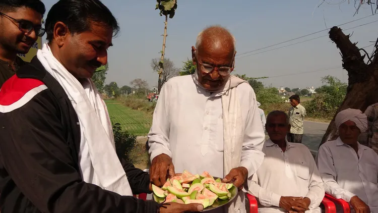 北印度索內帕特縣農民夏瑪（Kapil Sharma）種植台灣品種的芭樂，極受當地民眾歡迎。中央社