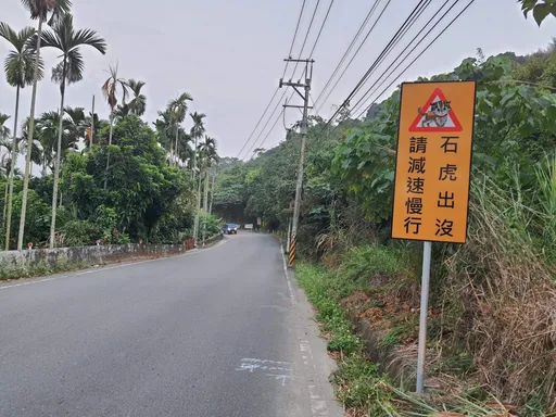 南投縣「石虎出沒」路牌你看過了嗎? 和泰守護僅存500隻呼籲路過小心駕駛