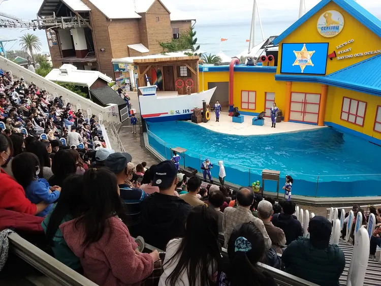 遠雄海洋公園元旦連假第1天有5000名遊客入園。遠雄海洋公園提供