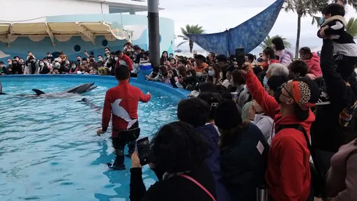 遠雄海洋公園20周年慶 元旦連假首日喜迎5千遊客