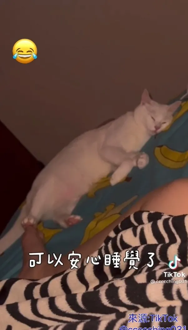 充電中明天才有好精神！TikTok@r7301__ 提供