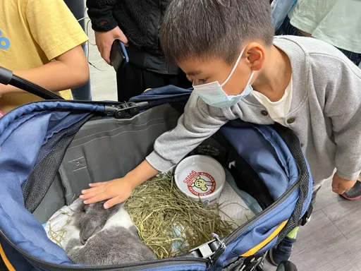飼養龜兔技術有一套 生命園區推出寵物照護課程