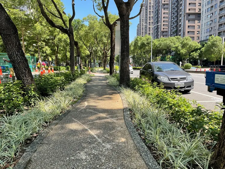 既有小徑種植桂花營造香氣，並以白紋沿街草襯托出色彩及枝葉質感的豐富。景觀處提供