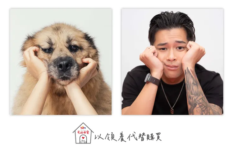 高爾宣呼籲領養代替購買。Hit Fm聯播網提供