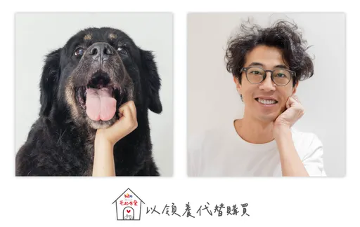 馬念先心疼愛犬罹骨癌　截肢防癌細胞轉移