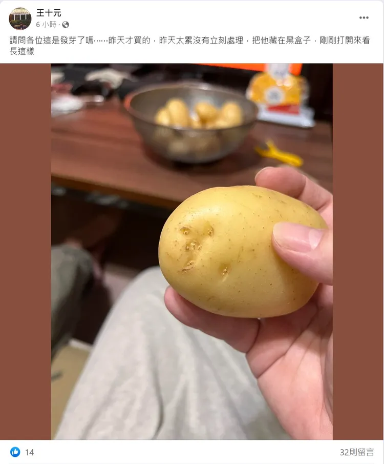 網友問馬鈴薯長芽眼到底能不能吃?翻攝自「Costco好市多 商品經驗老實說」
