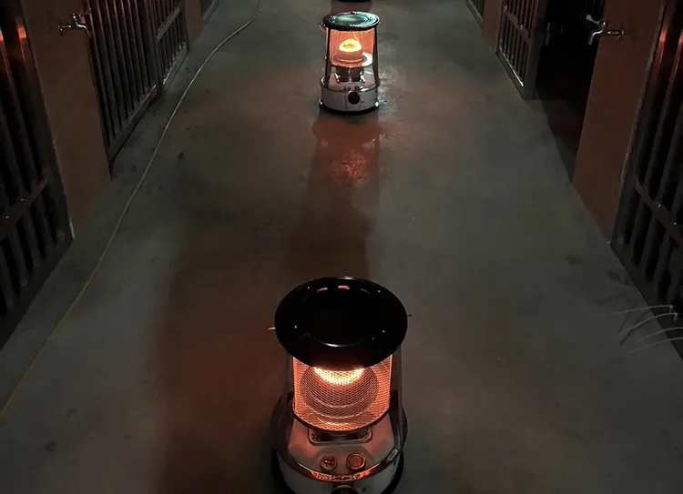 目前以煤氣燈保暖，讓犬貓度過寒冬。翻攝畫面