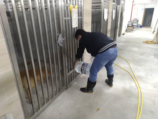 基隆寵物銀行缺水又沒電挨批　謝國樑助毛孩度過寒冬