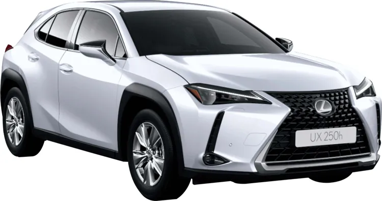 登錄購買福袋的發票可參加抽獎，最大獎為LEXUS UX 250h，價值149萬9000元。業者提供