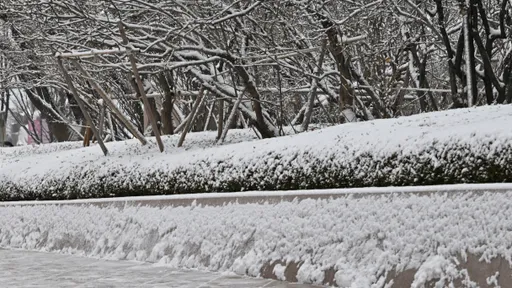 濟州暴雪航班全停飛 韓國各地113船班停駛