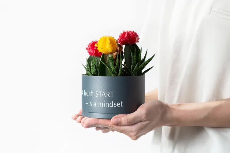 抓錢鷹爪絕對是人人都要擁有的招財小物，因為它的花語為：「抓錢滿滿」。業者提供