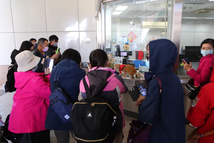 高捷公司今在橋頭糖廠站舉辦蜜柑站長見面會。高捷提供