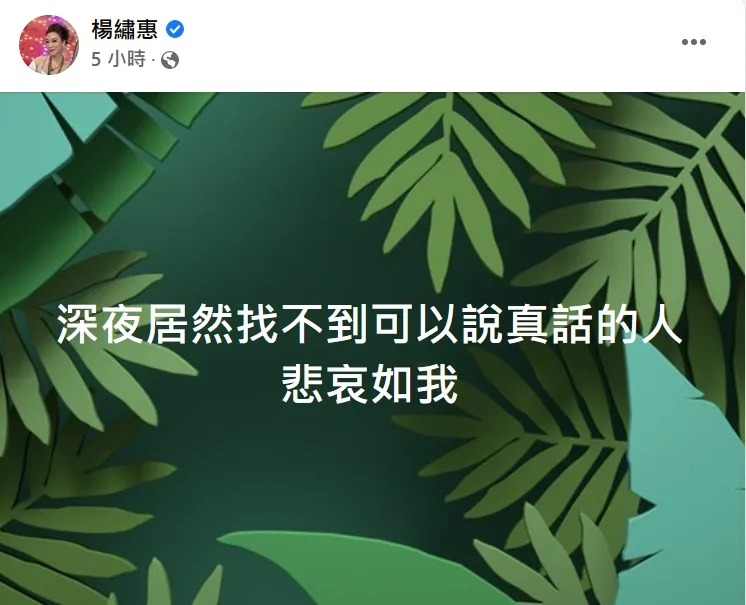 楊繡惠凌晨發文讓網友嚇壞。翻攝楊繡惠臉書