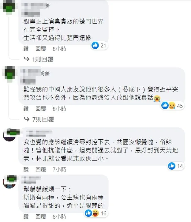 翻攝自林智群臉書