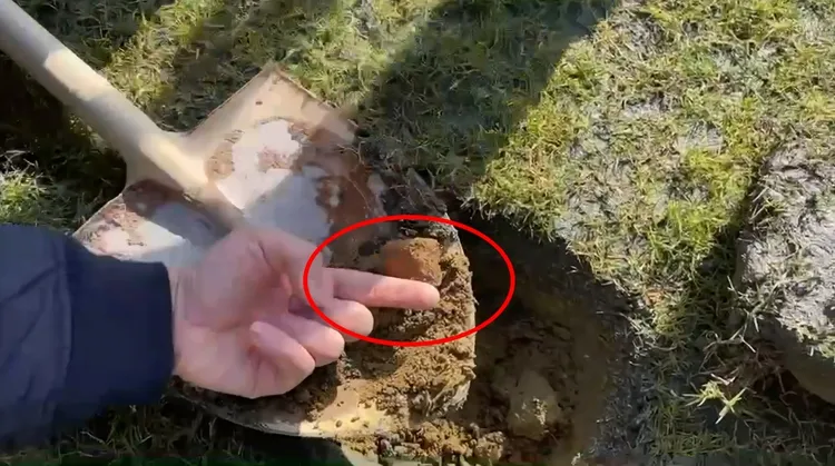 會勘人員竟在淺層、僅10至15公分的草皮挖到廢棄電線。新竹市政府提供。新竹市政府提供