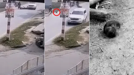 驚悚影片｜弟弟幫姊送喜帖摔車慘遭「輾頸斬首」　整顆頭顱滾出去了