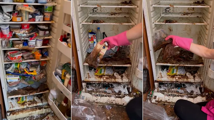 翻攝自奧莉TikTok