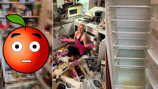 最狂過年大掃除!她打「封印3年的冰箱」 把7500萬網友噁爆了