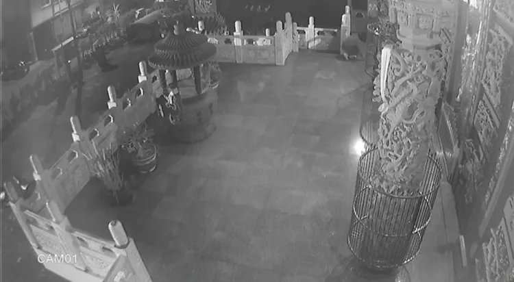 男子半夜半跪半爬進入寺廟偷錢。翻攝畫面