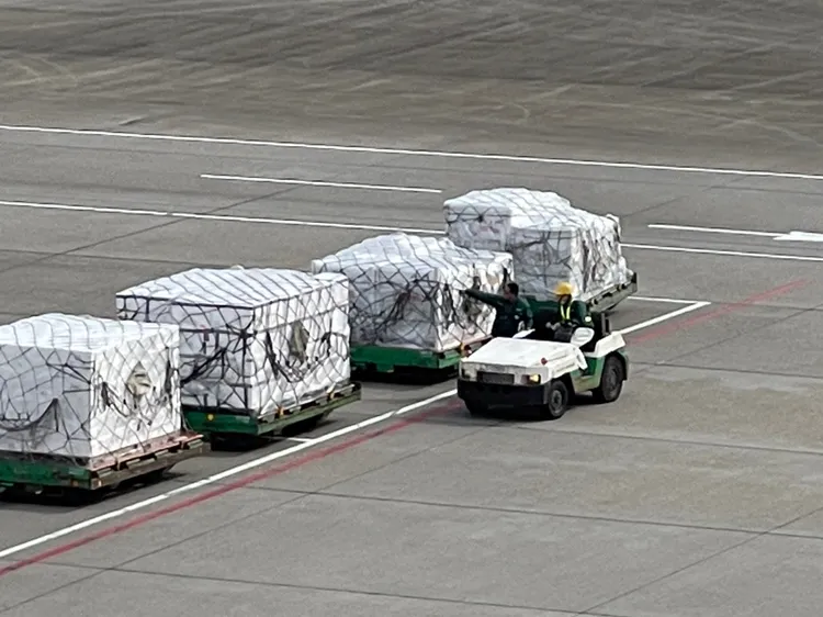 航勤。施昂強攝