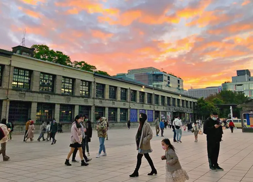 Google地圖全球10大熱搜文化景點　台灣2處上榜！超越羅浮宮