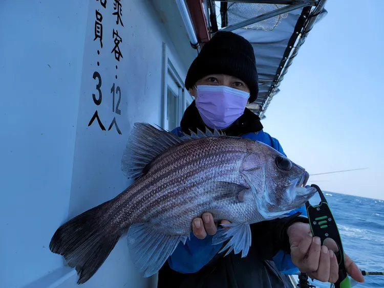 釣客釣到的黑大目。黃偉提供