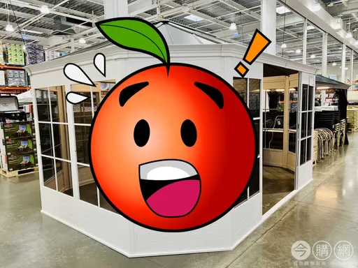 好市多驚現近10萬元巨大遮陽亭!釣出一堆神人分享實景 網嘆:貴的從來不是亭