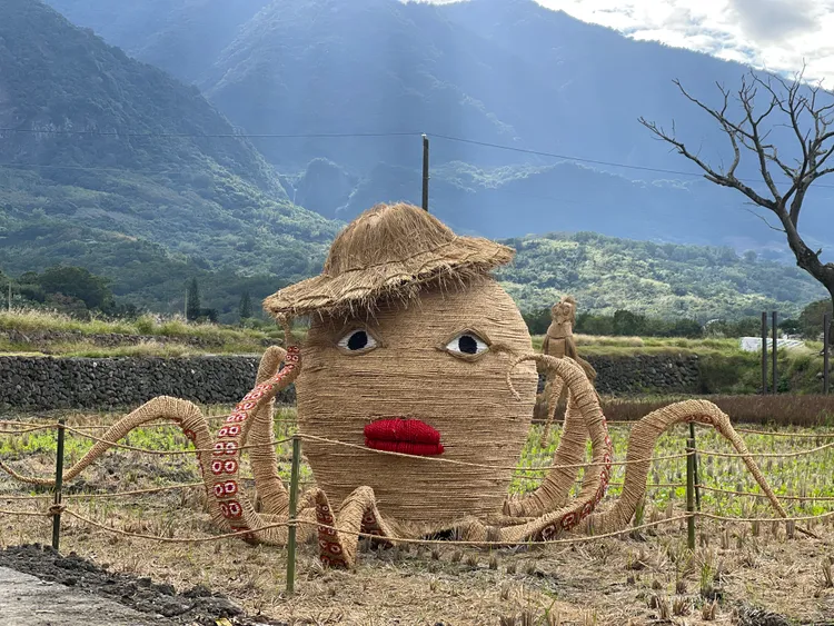 性感紅脣章魚妹。富里鄉農會提供