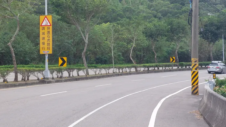 苗栗多處交通要道穿越石虎保育棲地，公路單位設立警語提醒用路人。楊永盛攝