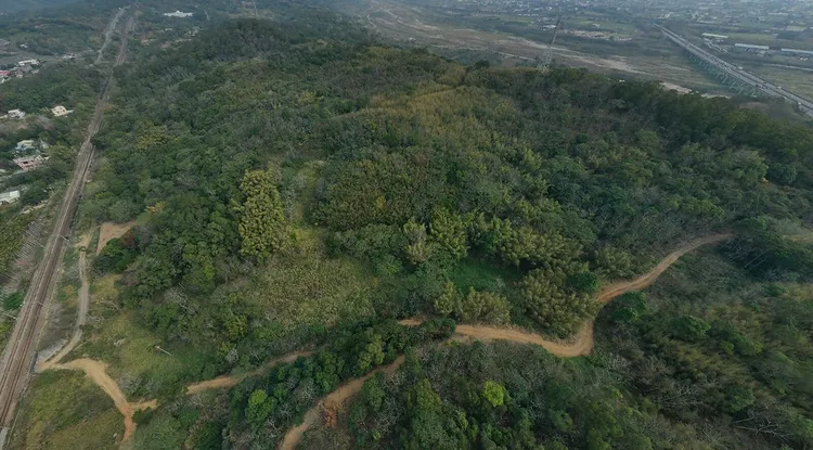 苗栗縣府一年前通過石虎保育區、銅鑼鄉竹森村的光電廠案，引發台灣石虎保育協會抗議和譴責。台灣石虎保育協會提供