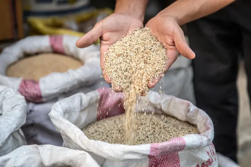 美國FDA「過敏原清單」增列芝麻!嚴重致喘吐 一圖掌握9大地雷食品