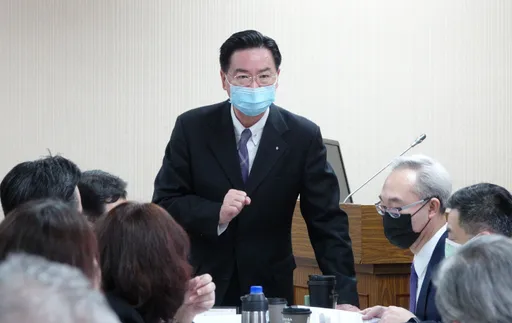 新外交部長曝光？傳由她接任　藍委肯定：對國際事務有了解